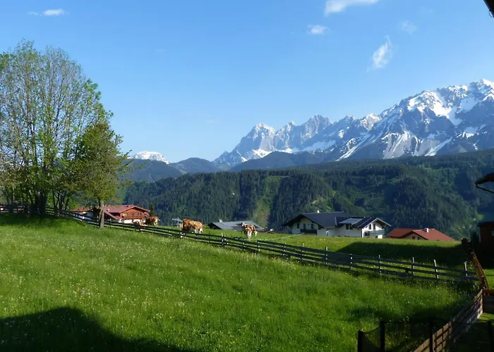 Appartement Haus Panorama *